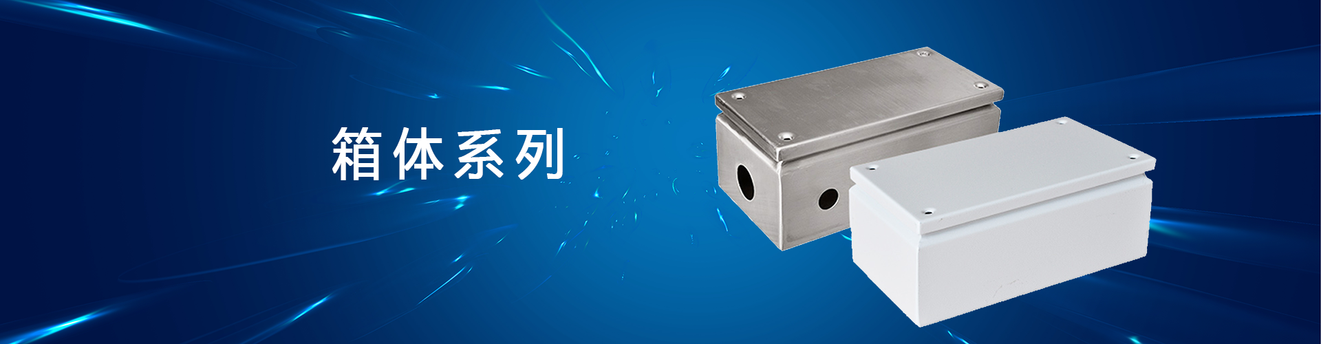 仿威圖機(jī)柜箱體系列